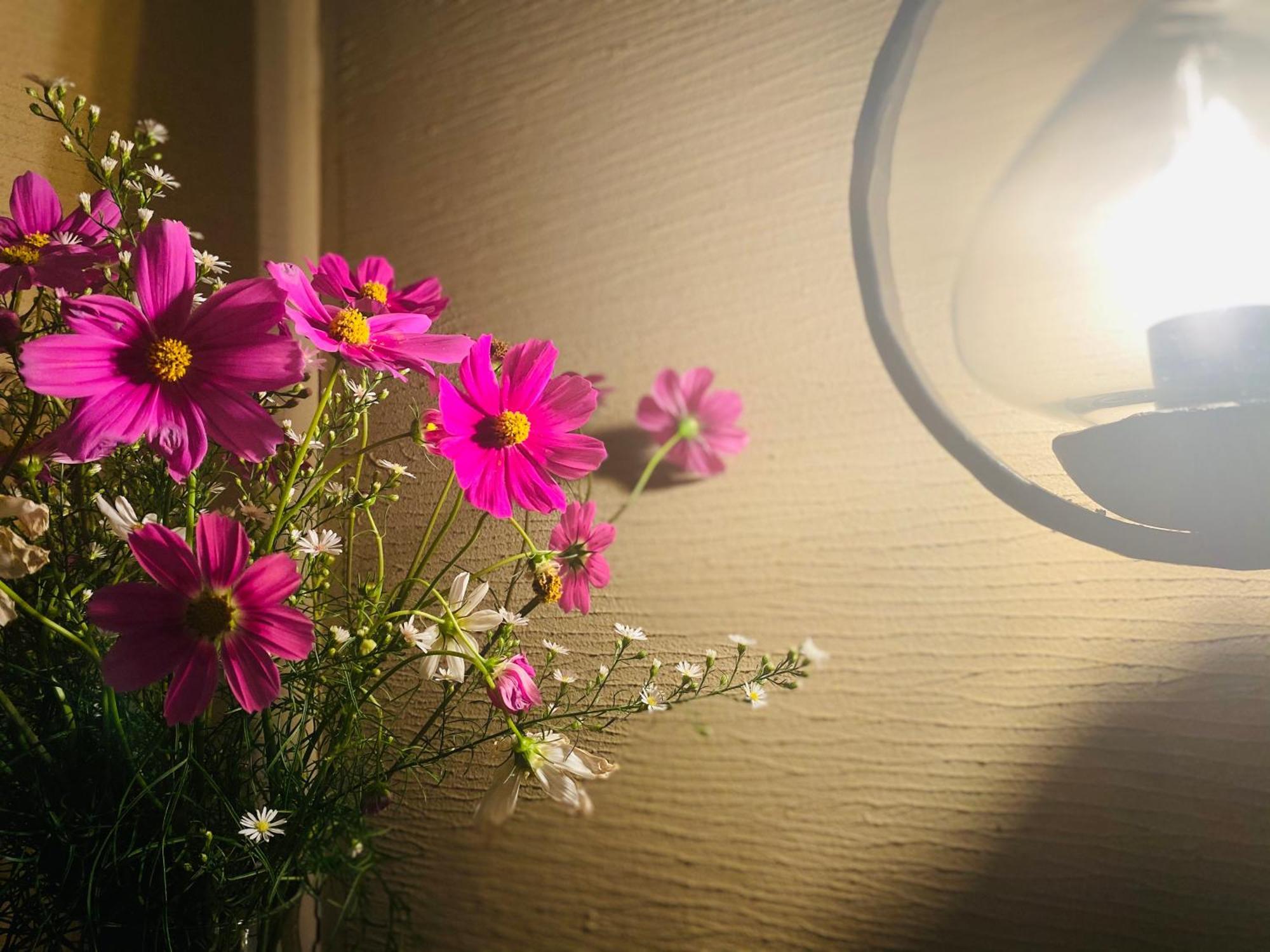 Hotel Wohnen Hakuba Luaran gambar